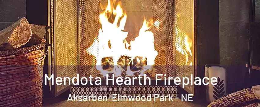 Mendota Hearth Fireplace Aksarben-Elmwood Park - NE