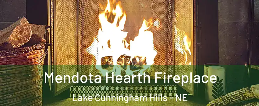Mendota Hearth Fireplace Lake Cunningham Hills - NE