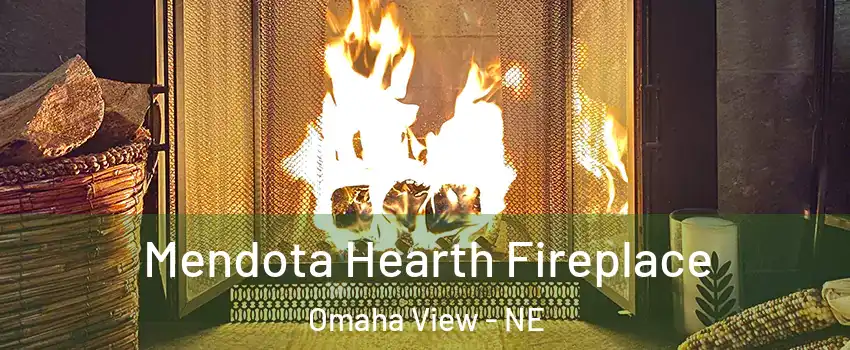 Mendota Hearth Fireplace Omaha View - NE