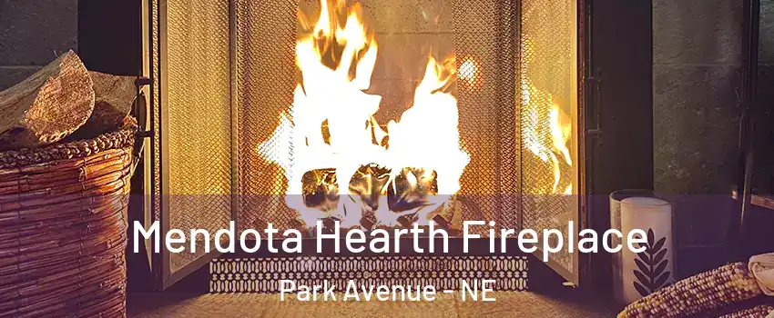 Mendota Hearth Fireplace Park Avenue - NE