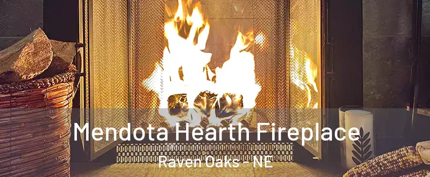 Mendota Hearth Fireplace Raven Oaks - NE