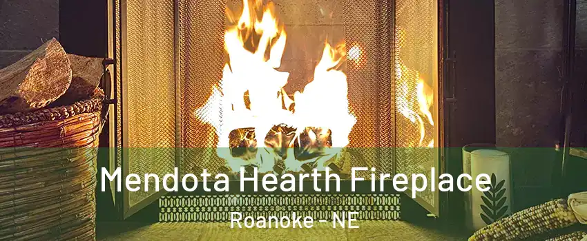 Mendota Hearth Fireplace Roanoke - NE