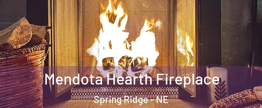 Mendota Hearth Fireplace Spring Ridge - NE