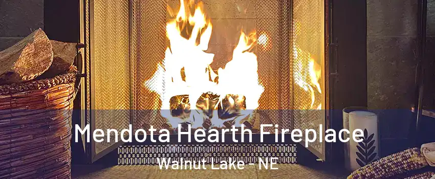 Mendota Hearth Fireplace Walnut Lake - NE