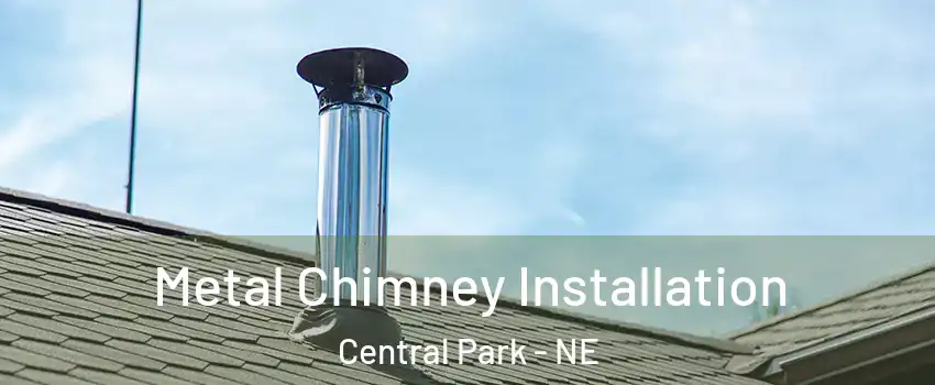 Metal Chimney Installation Central Park - NE