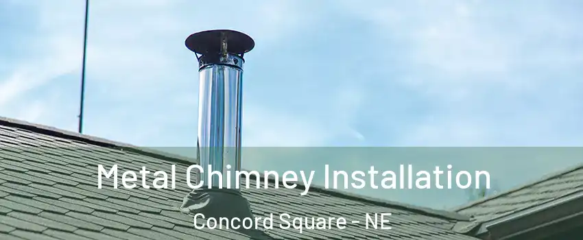 Metal Chimney Installation Concord Square - NE