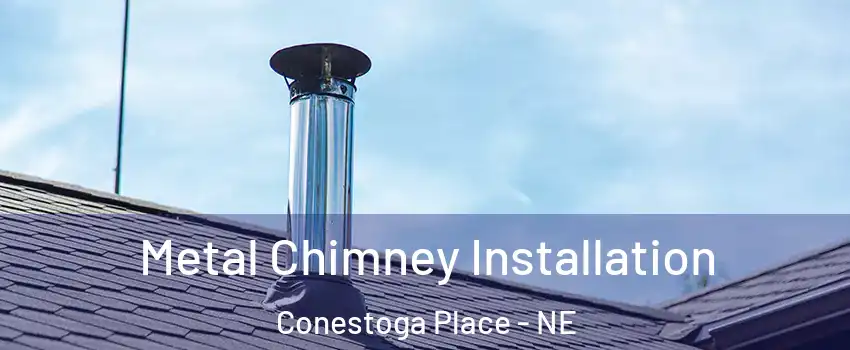Metal Chimney Installation Conestoga Place - NE