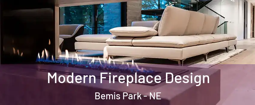 Modern Fireplace Design Bemis Park - NE