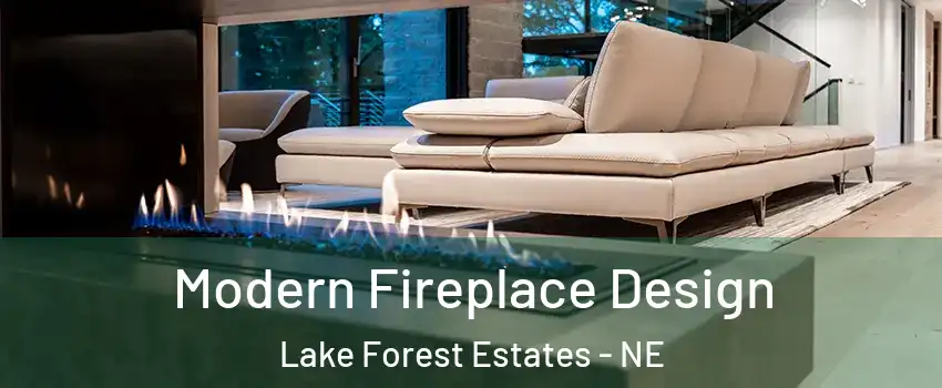 Modern Fireplace Design Lake Forest Estates - NE