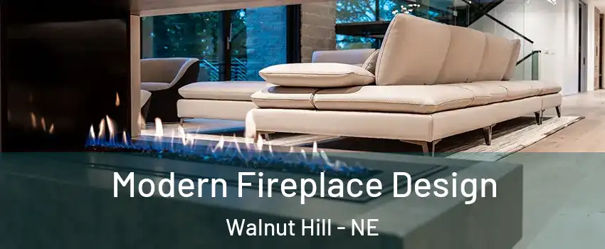 Modern Fireplace Design Walnut Hill - NE