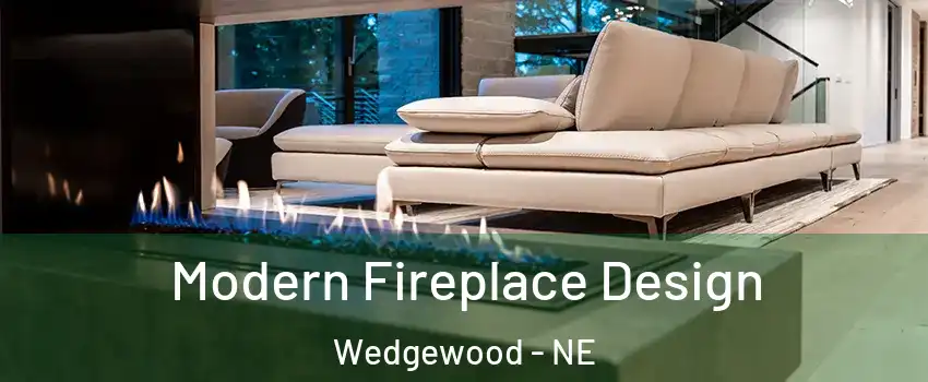 Modern Fireplace Design Wedgewood - NE