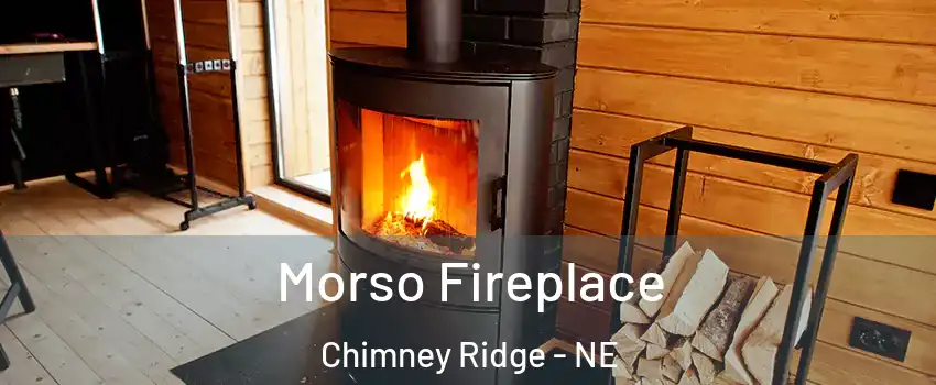 Morso Fireplace Chimney Ridge - NE