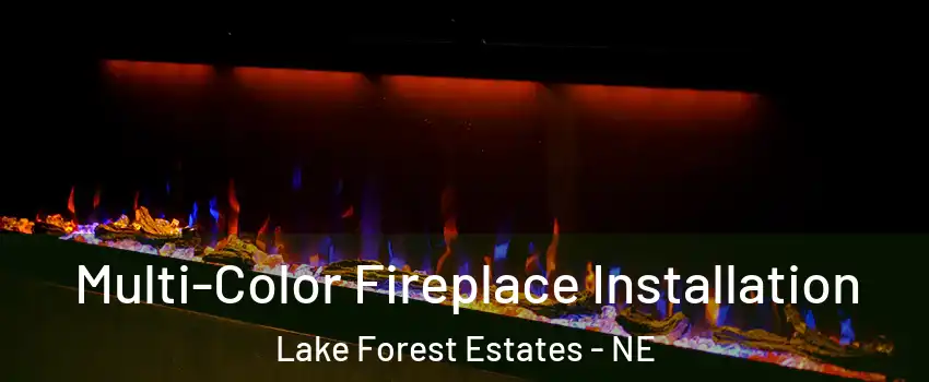 Multi-Color Fireplace Installation Lake Forest Estates - NE