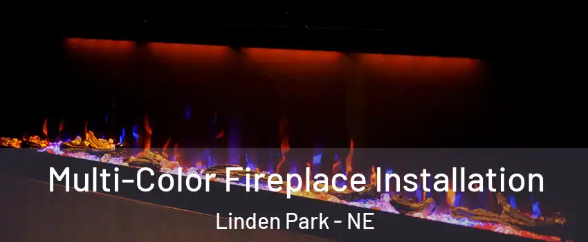 Multi-Color Fireplace Installation Linden Park - NE