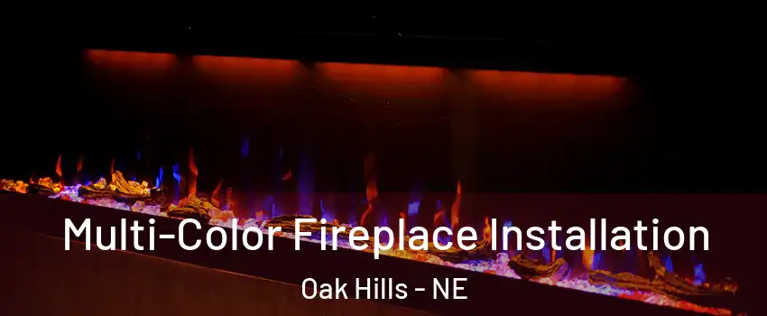 Multi-Color Fireplace Installation Oak Hills - NE