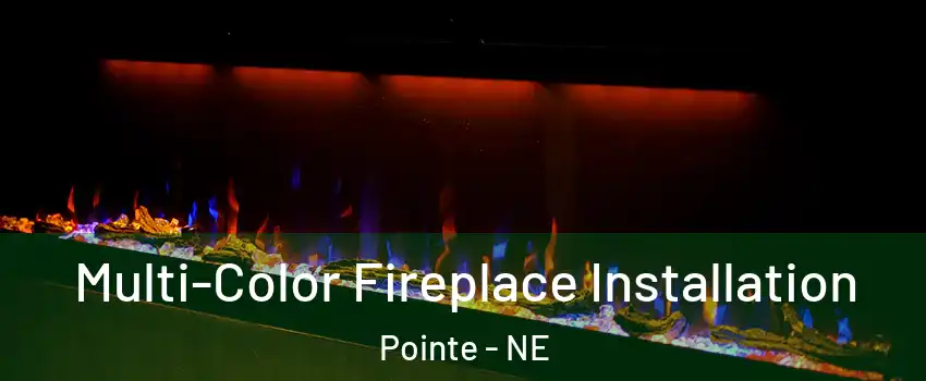 Multi-Color Fireplace Installation Pointe - NE