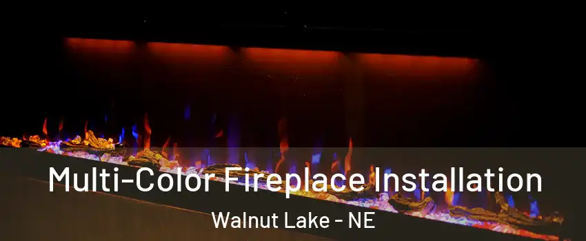Multi-Color Fireplace Installation Walnut Lake - NE