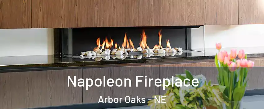 Napoleon Fireplace Arbor Oaks - NE