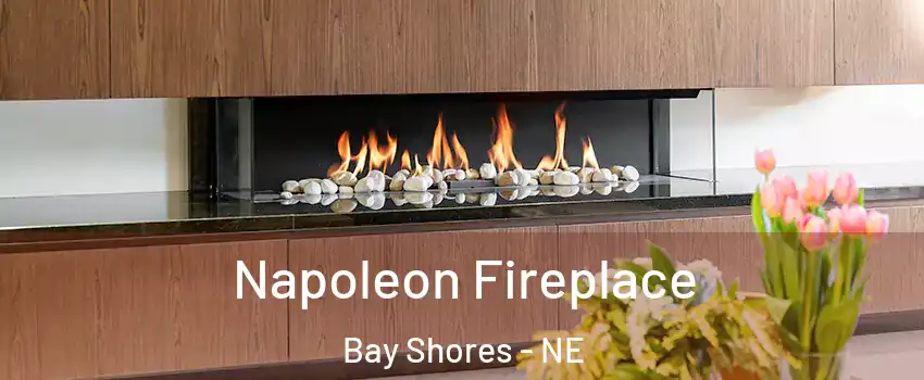Napoleon Fireplace Bay Shores - NE