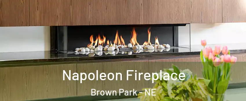 Napoleon Fireplace Brown Park - NE