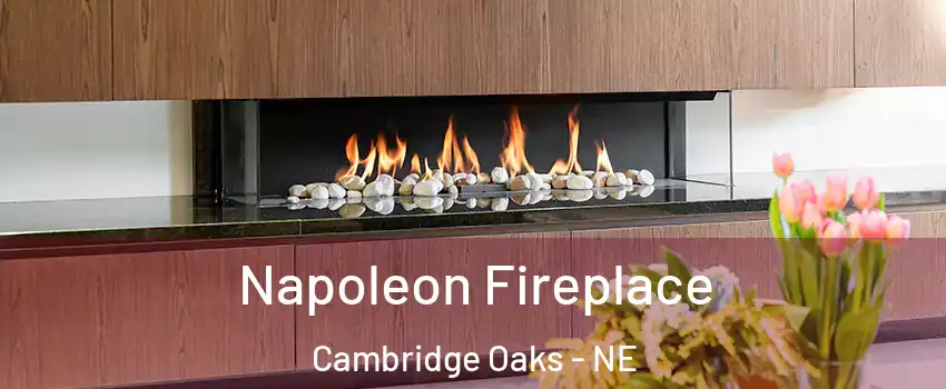 Napoleon Fireplace Cambridge Oaks - NE