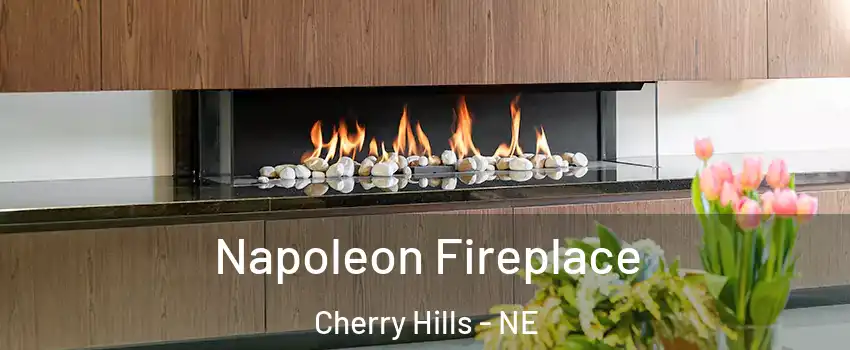 Napoleon Fireplace Cherry Hills - NE