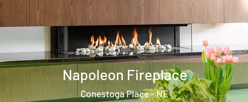 Napoleon Fireplace Conestoga Place - NE