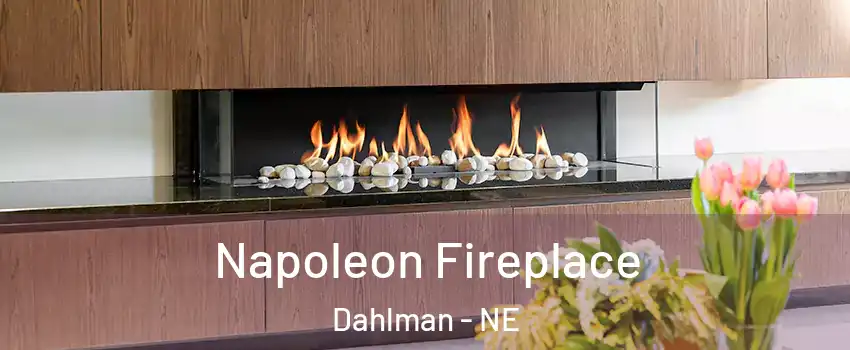 Napoleon Fireplace Dahlman - NE