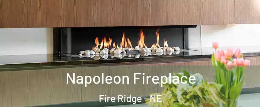 Napoleon Fireplace Fire Ridge - NE