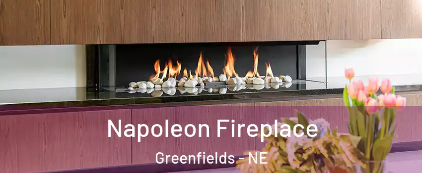 Napoleon Fireplace Greenfields - NE