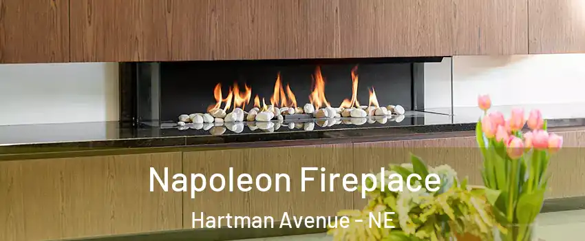 Napoleon Fireplace Hartman Avenue - NE