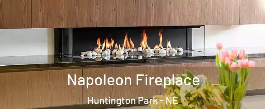 Napoleon Fireplace Huntington Park - NE