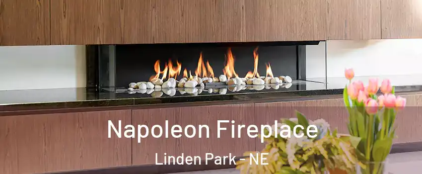 Napoleon Fireplace Linden Park - NE