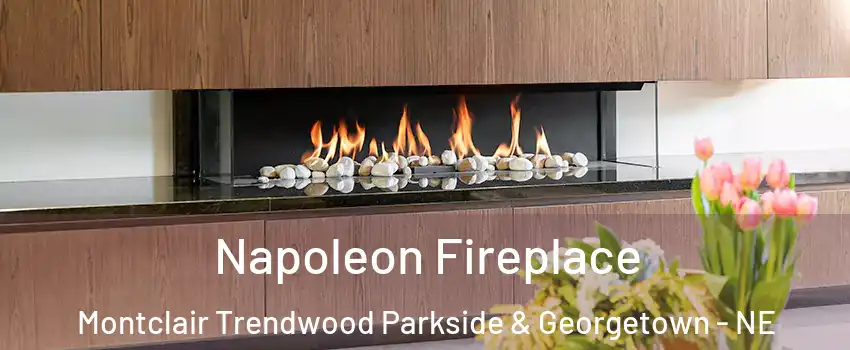 Napoleon Fireplace Montclair Trendwood Parkside & Georgetown - NE