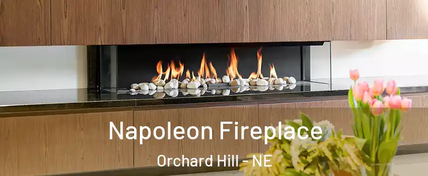 Napoleon Fireplace Orchard Hill - NE