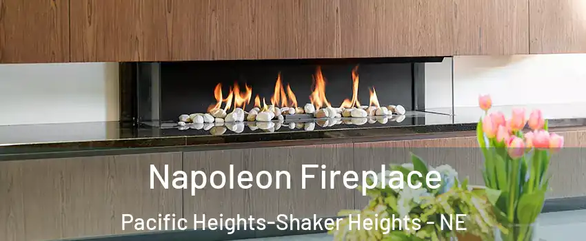 Napoleon Fireplace Pacific Heights-Shaker Heights - NE