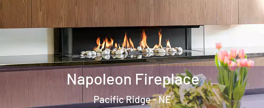 Napoleon Fireplace Pacific Ridge - NE
