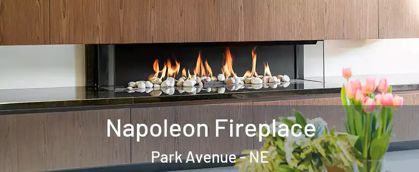 Napoleon Fireplace Park Avenue - NE