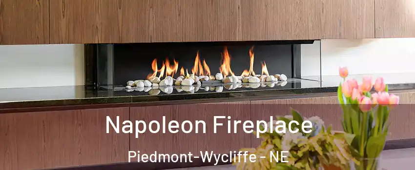 Napoleon Fireplace Piedmont-Wycliffe - NE