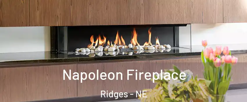 Napoleon Fireplace Ridges - NE