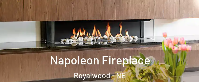 Napoleon Fireplace Royalwood - NE