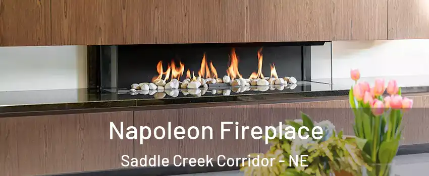 Napoleon Fireplace Saddle Creek Corridor - NE