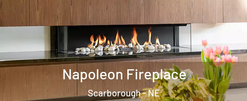 Napoleon Fireplace Scarborough - NE