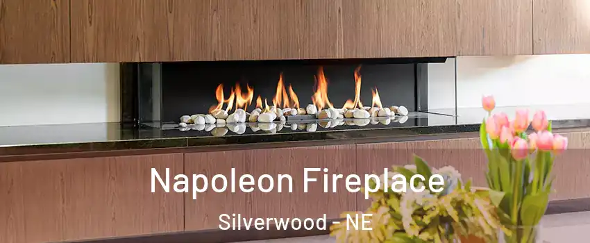 Napoleon Fireplace Silverwood - NE