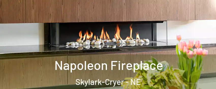 Napoleon Fireplace Skylark-Cryer - NE