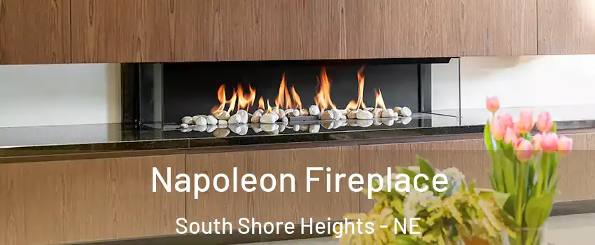 Napoleon Fireplace South Shore Heights - NE