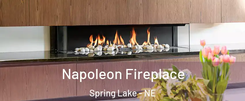 Napoleon Fireplace Spring Lake - NE