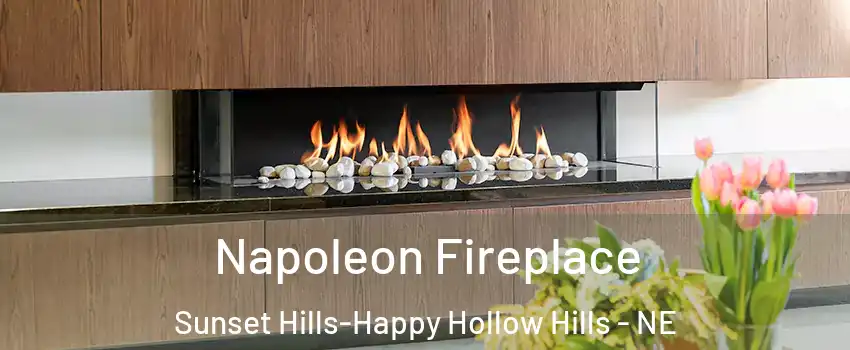 Napoleon Fireplace Sunset Hills-Happy Hollow Hills - NE