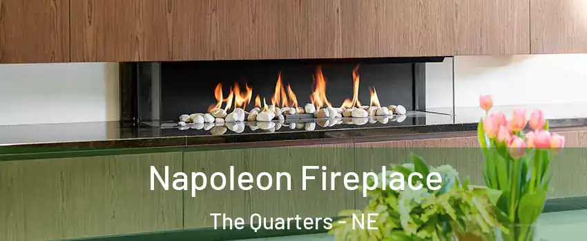 Napoleon Fireplace The Quarters - NE