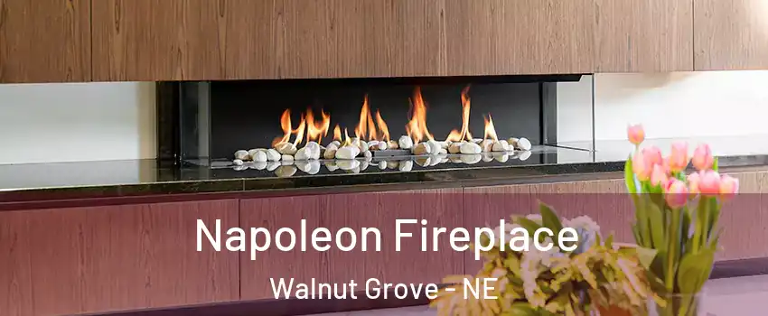 Napoleon Fireplace Walnut Grove - NE